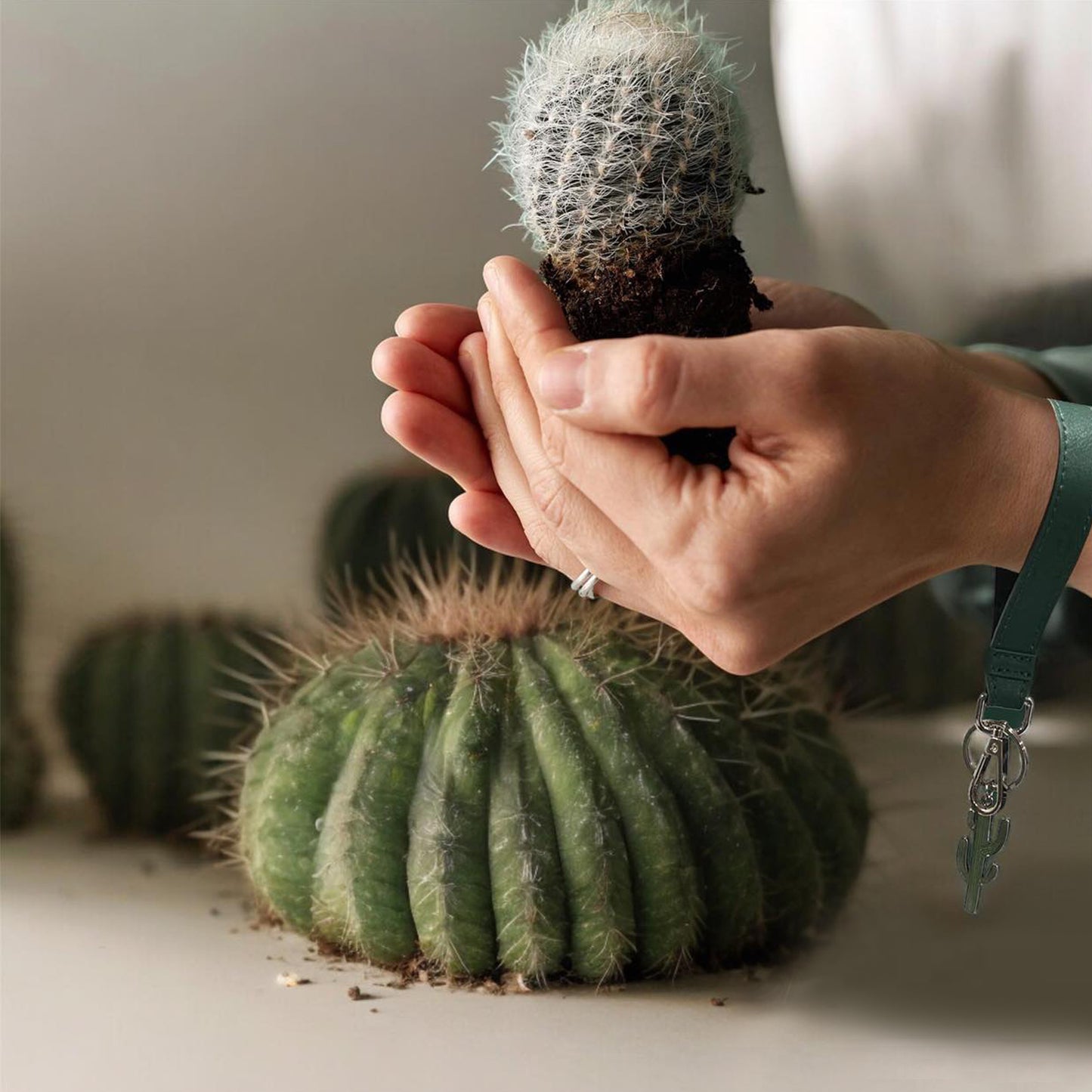 Porte-clé ÉKÖVÉGÉTAL de cactus avec breloque